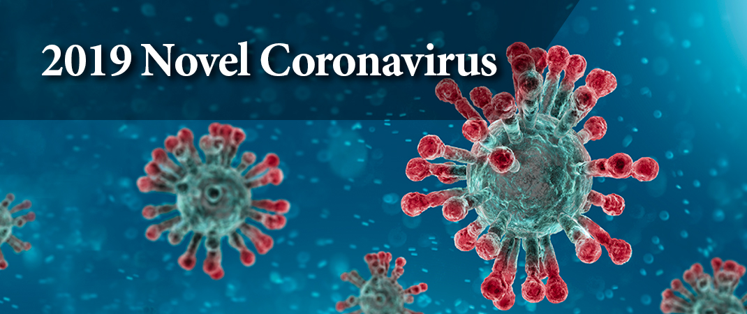 Novel Coronavirus image